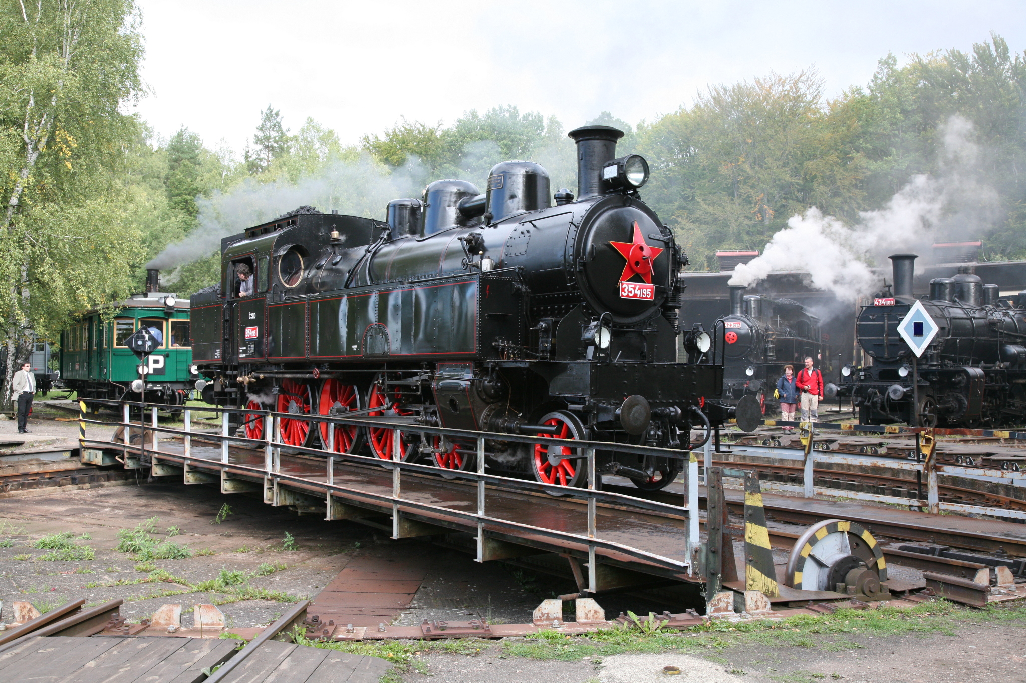 Všudybylka