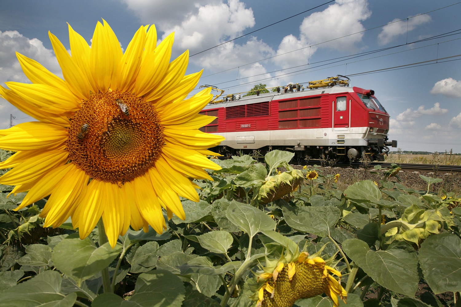 Lokomotiva ř. 350 ZSSK