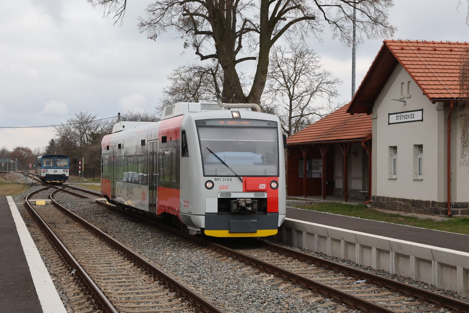 Střídání pavouků a myší