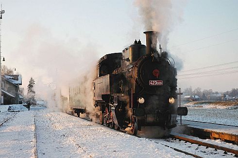 Parní lokomotiva Velký bejček (423.009)